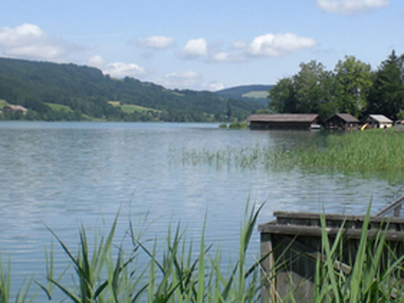 Gemeindebad Zell am Moos 800x600