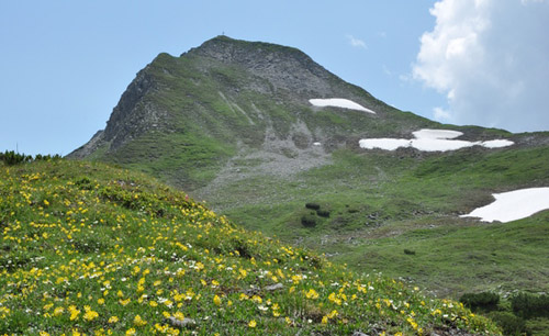 Schwarzkopf-Zauchensee