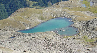 nedersee2