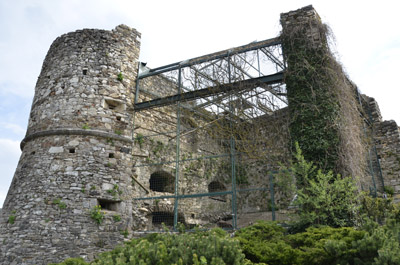 greifvogelschau