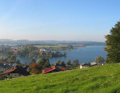 mattsee3