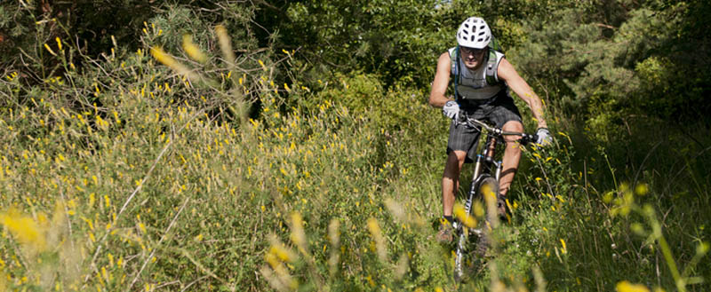 mountainbiken-mondseeberg2