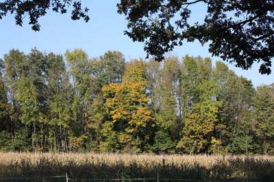 lainzer_tiergarten