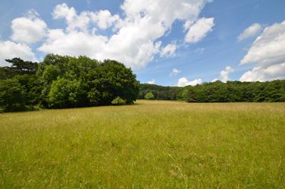 Naturpark Föhrenberge Wienerwald