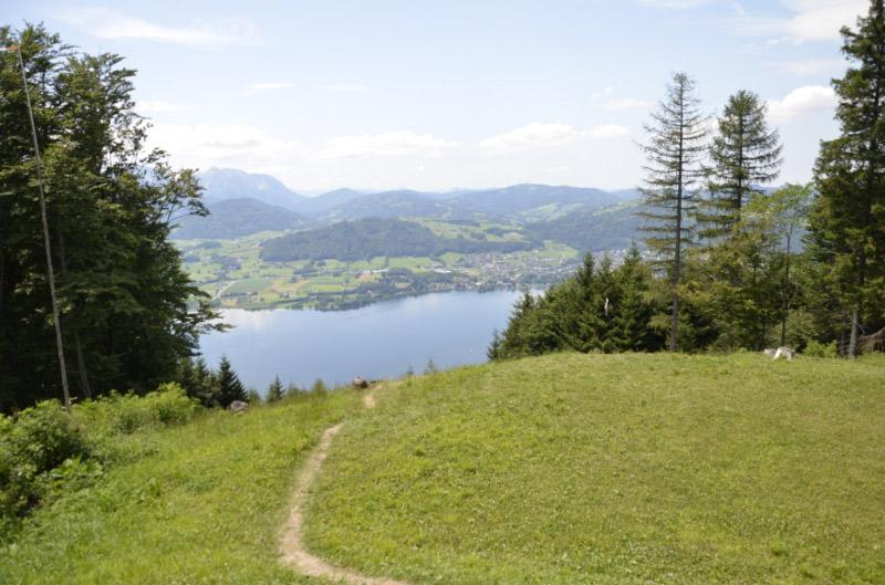 gruenberg-08-1