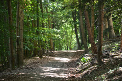 naturpark-sparbach1