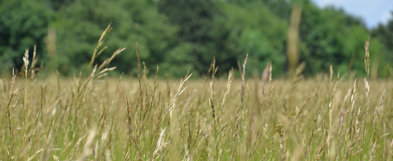 naturpark-sparbach3