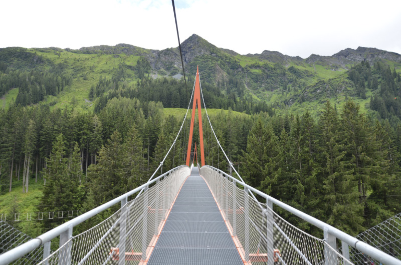 baumzipfelweg-49
