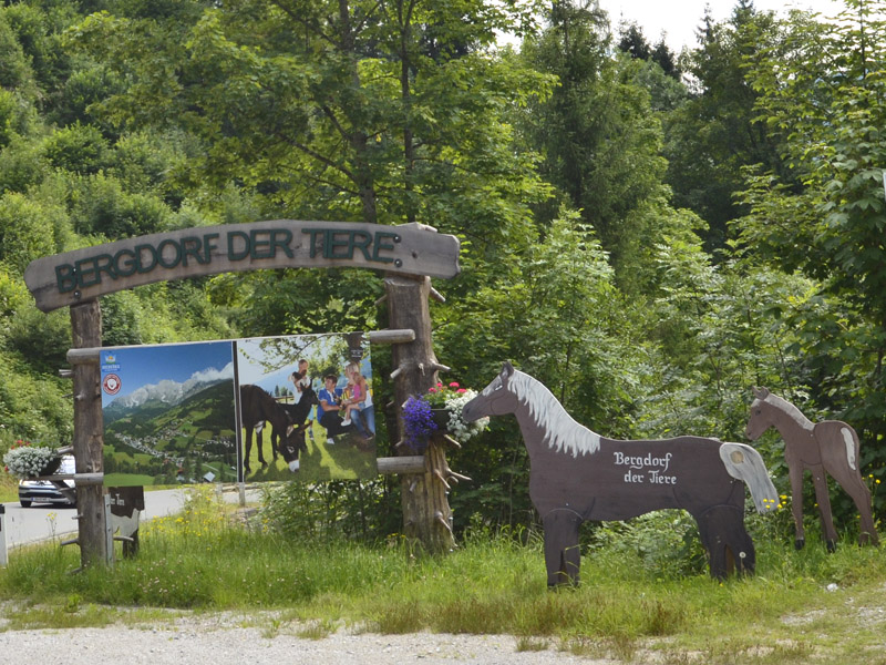 bergdorf-1
