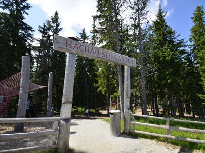 Hachau Seilgarten