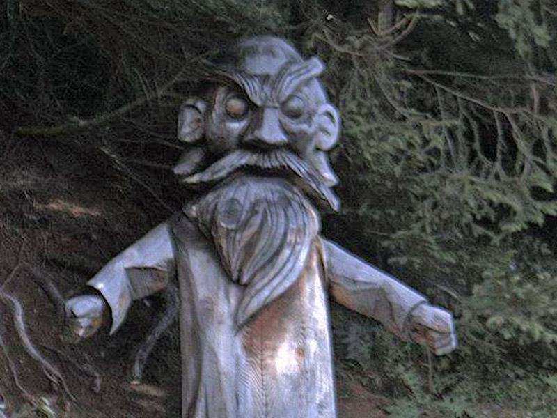 kodok