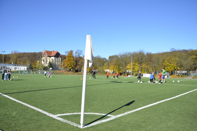 marswiese