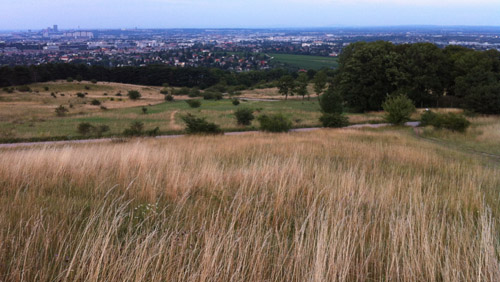 perchtoldsdorfer-heide