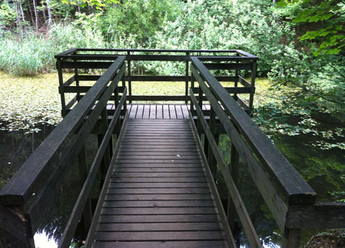 teichimwald1