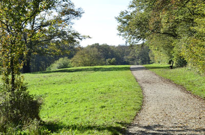 maurerwald-8_bearbeitet-1