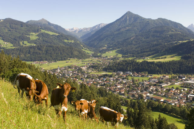 Sport in Altenmarkt