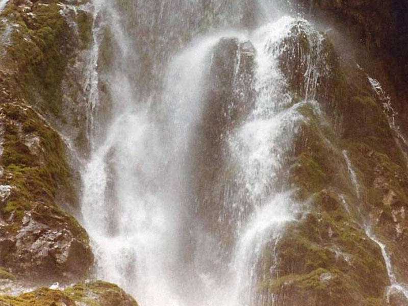 silberkarklamm