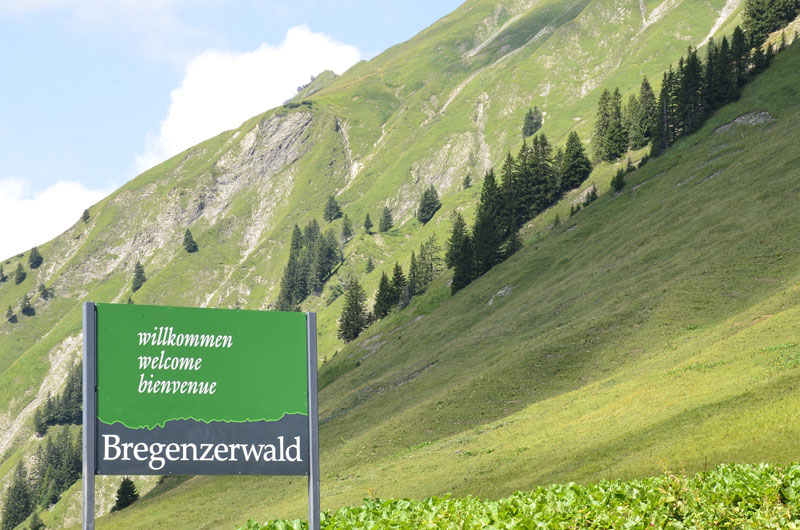 Bregenzerwald Sommer