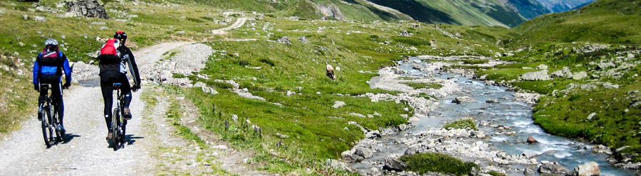 mtb