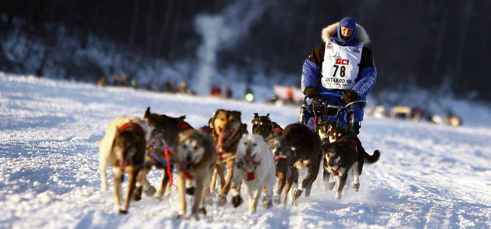 skijoring-2
