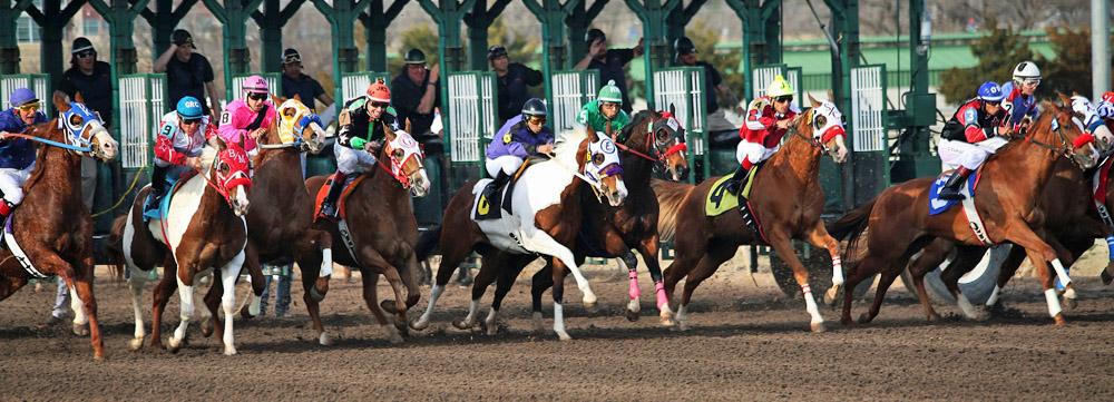 Sportwetten auf Head-to-Head