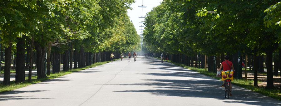 prater-hauptallee1