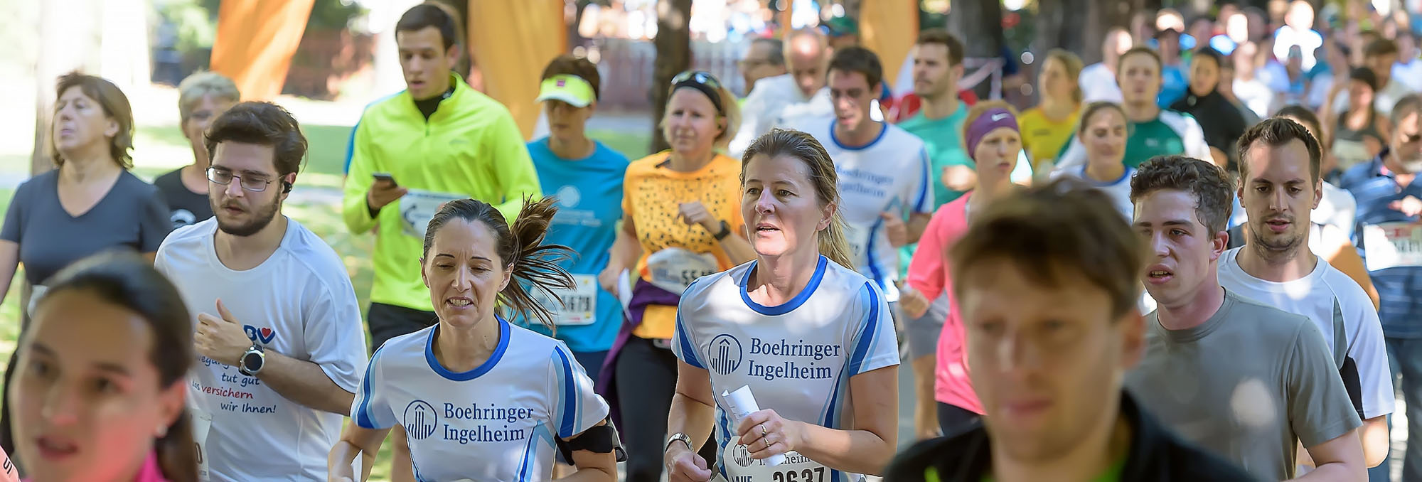krebsforschungslauf6