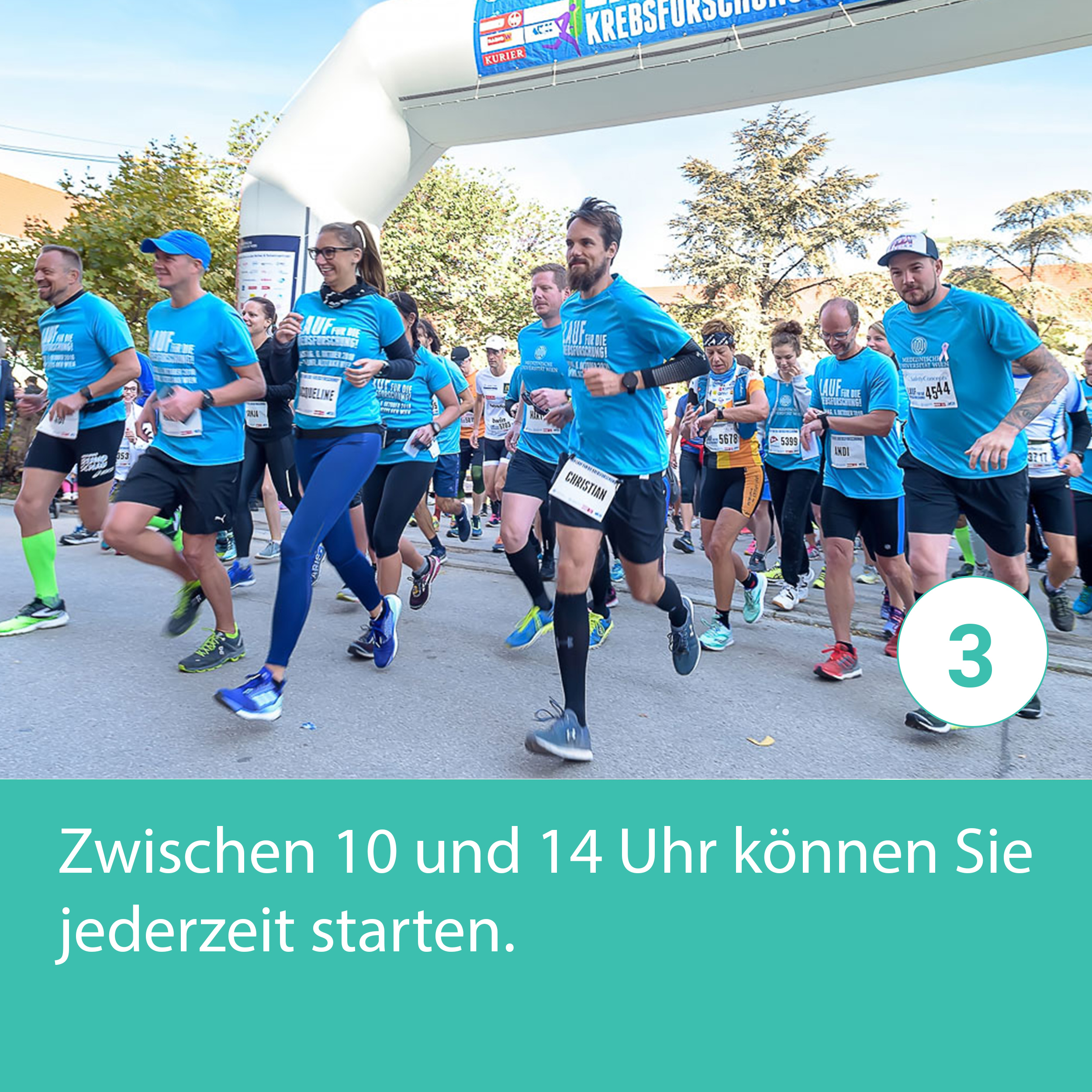 krebsforschungslauf3