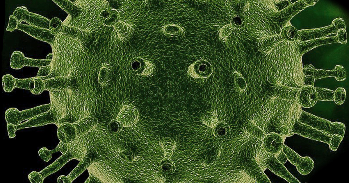 melatonin coronavirus