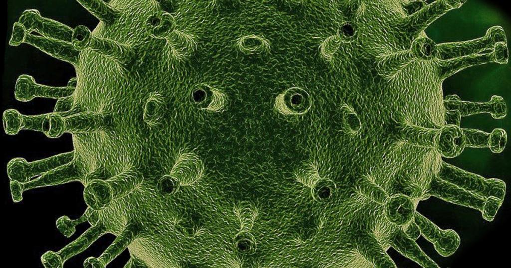 Melatonin Coronavirus (SARS-CoV-2)