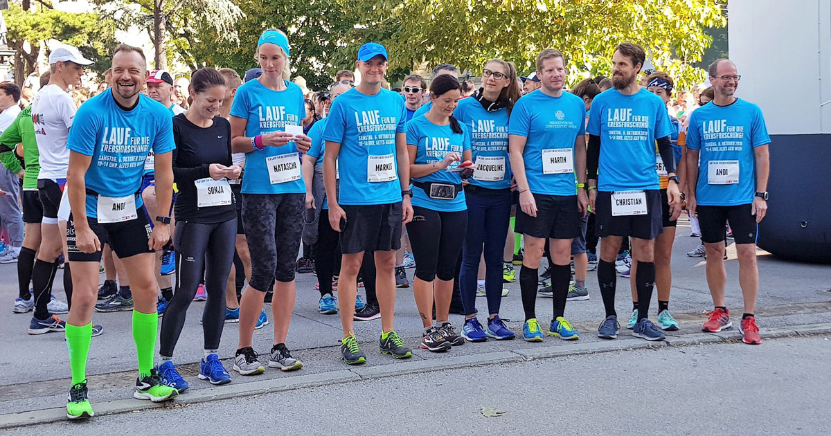 Krebsforschungslauf