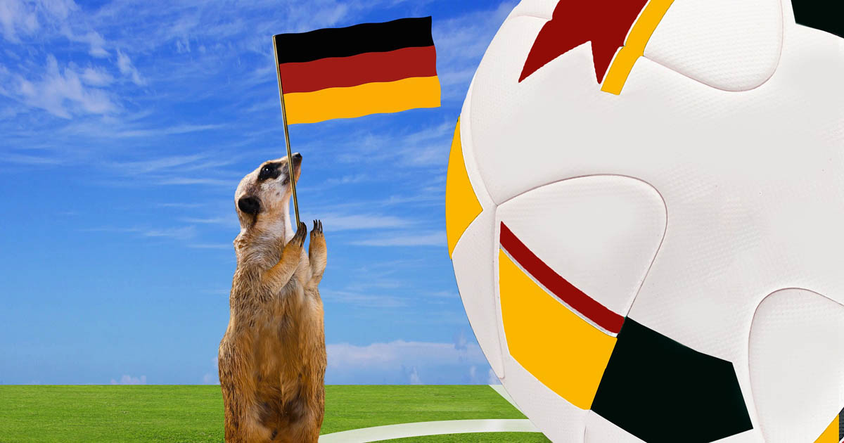 tierorakel sportwetten