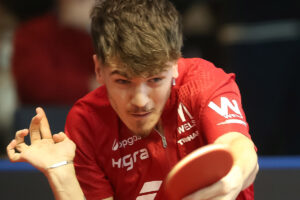 Damen-Bundesliga: Stockerau & Tulln fixieren Semifinal-Platz, Wels löst nach Cup-Halbfinal-Einzug auch in der Bundesliga das Halbfinal-Ticket