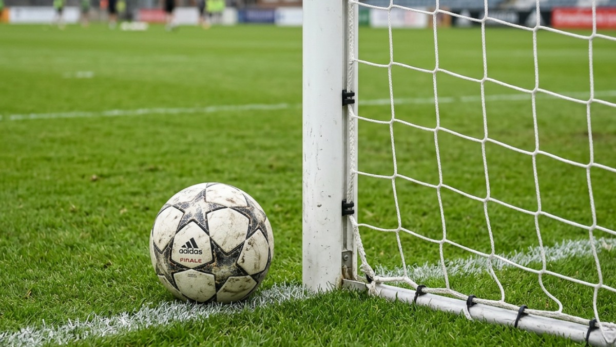 Beste Wettanbieter Österreich FI